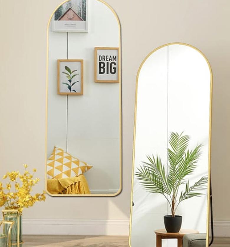 Full body mirror image