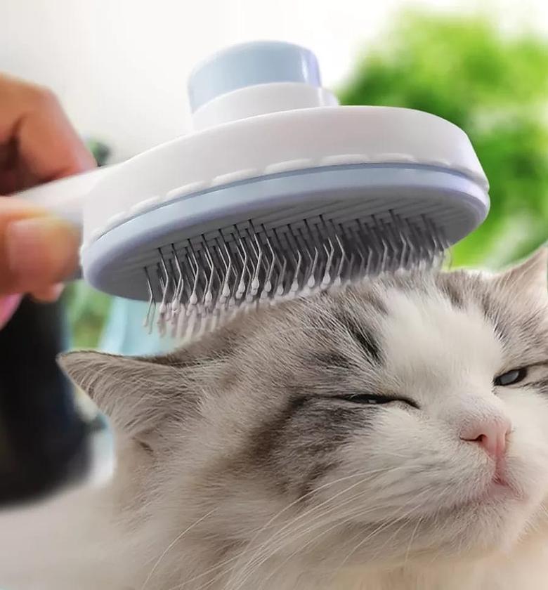 Self-Cleaning Pet Comb image
