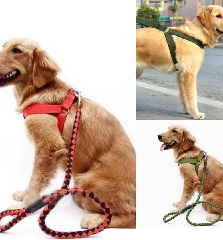 Adjustable Dog Harness Leash Set for Small and Medium Dogs image