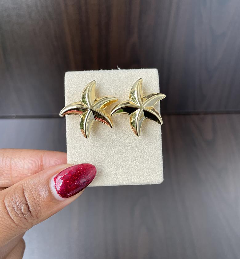 Starship Earrings  image