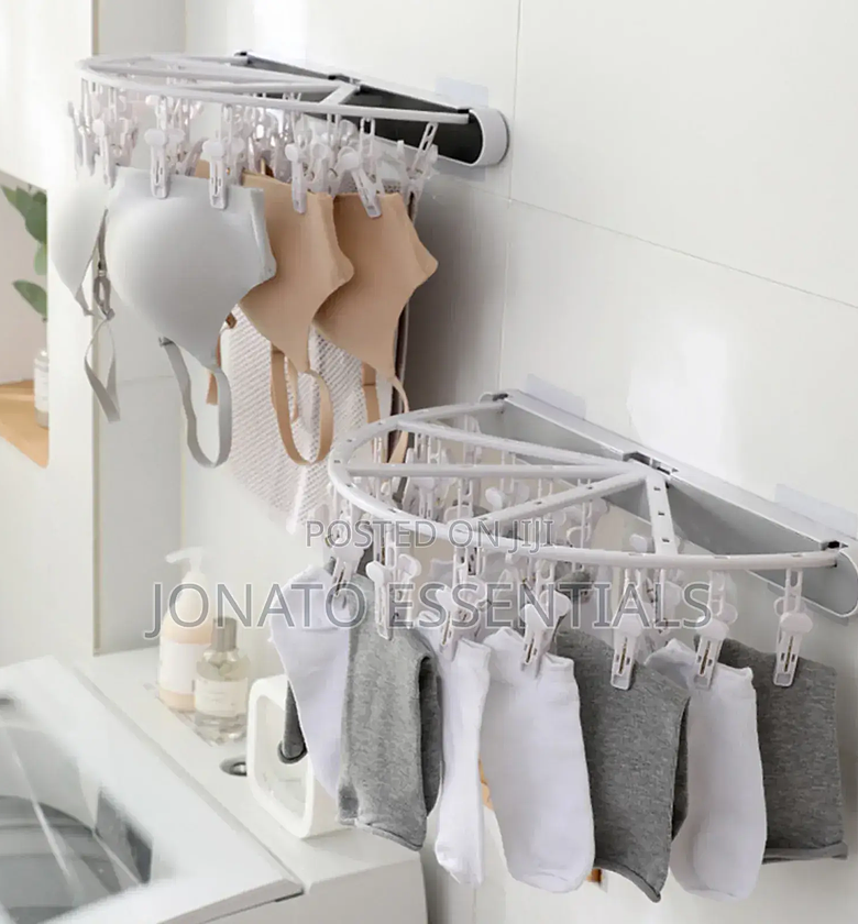 Semi Circle 24 Pegs Undergarments Rack image