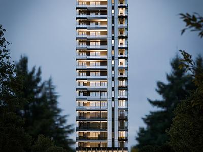 project gallery image