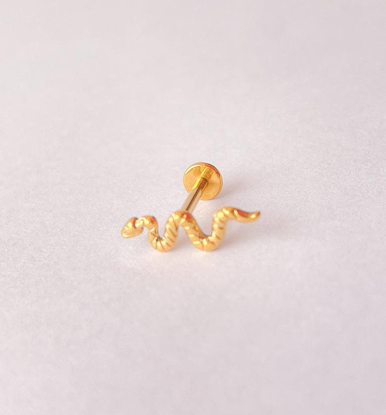 Snake-Shaped Piercing image