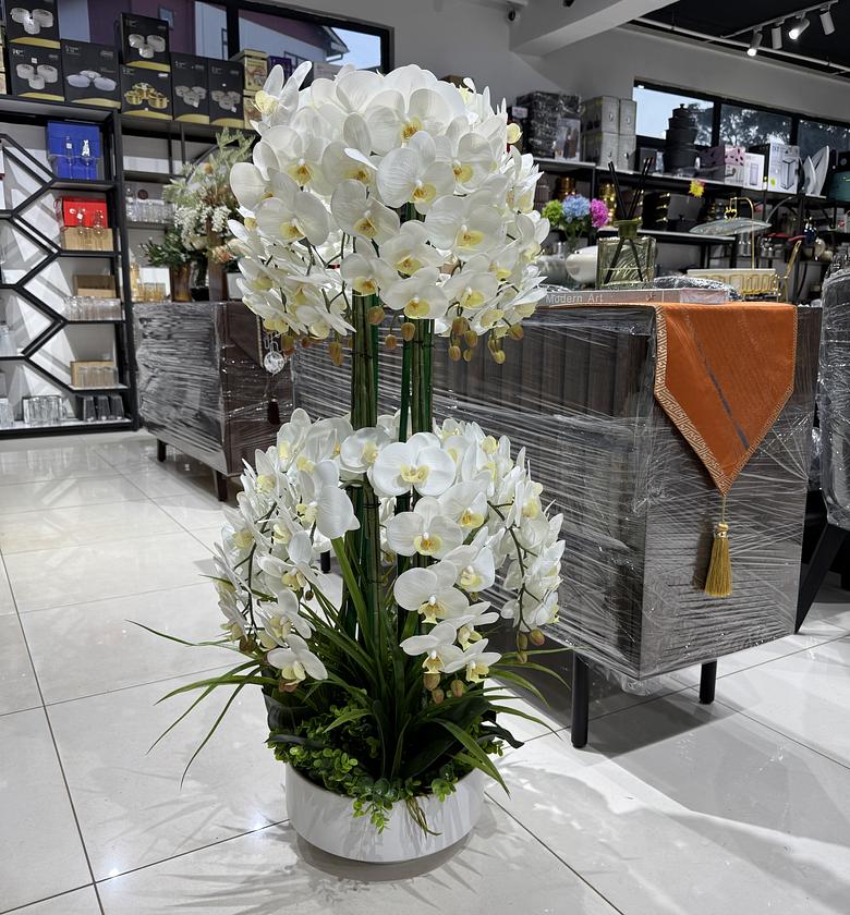 Six stem double layered orchid flower in a white vase image