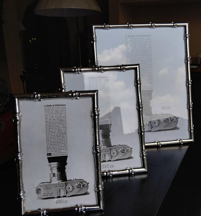 Silver Bamboo-style  metallic Photo frames image