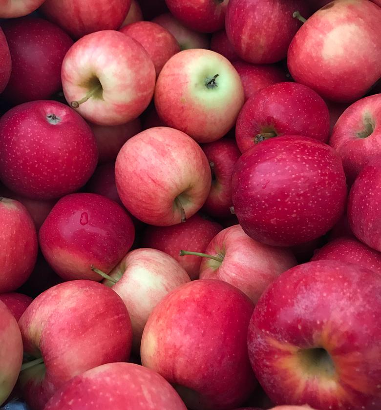 Apple Red (pink lady) image