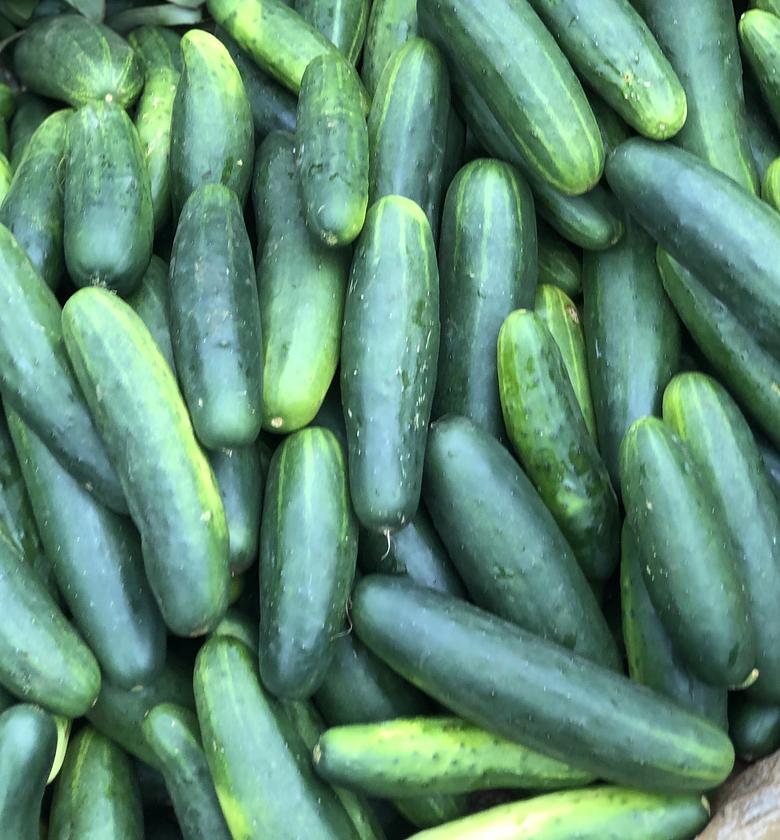 Cucumber-Per Piece image