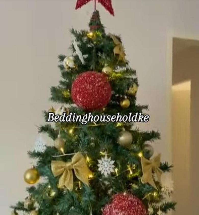 Christmas trees  image