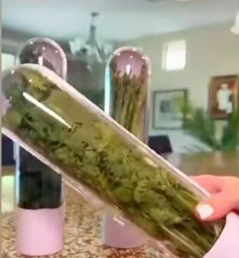 Herb and Vegetable Fresh-Keeping Cup. image