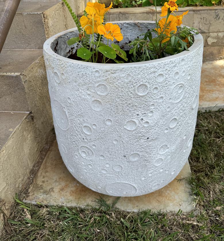 Malkia pot planter. image