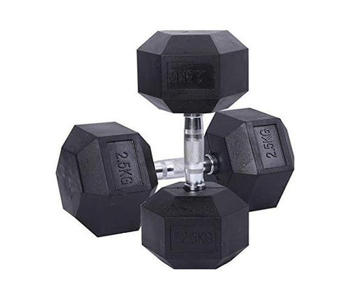 2.5Kg Dumbbell Set( 2_pieces) for GYM exercise and body fitness image