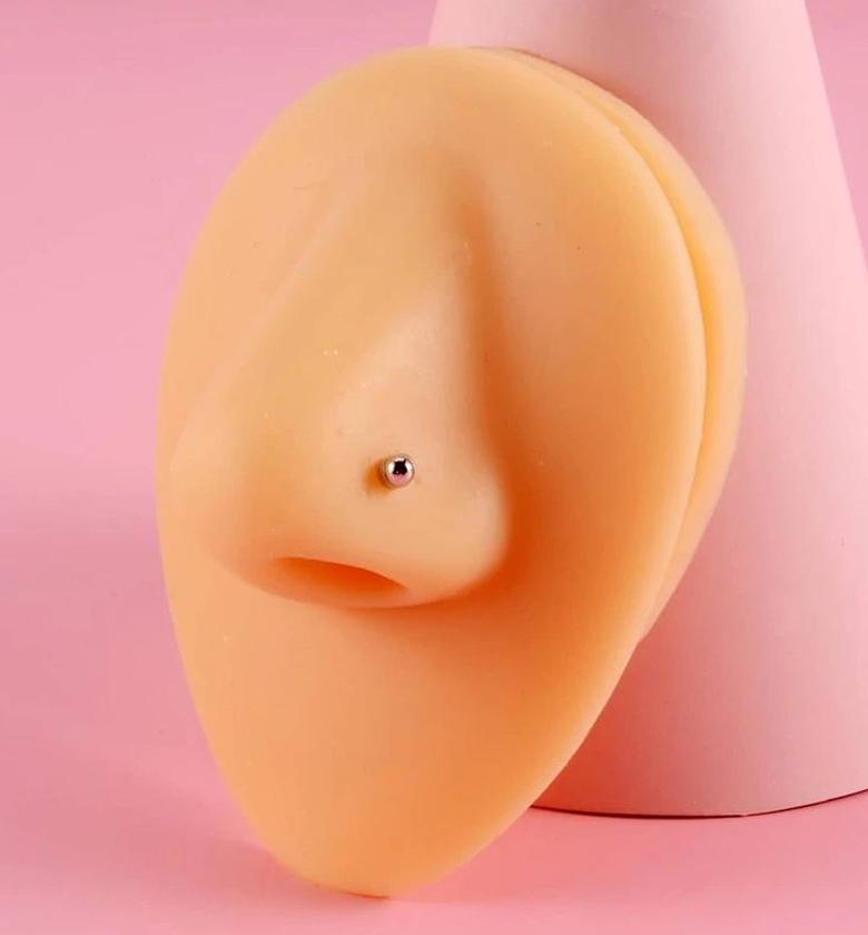 Plain Magnetic Nosering image