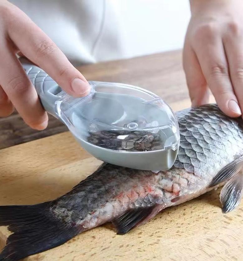 FISH SCRAPER. Fish Scales Graters Scraper image