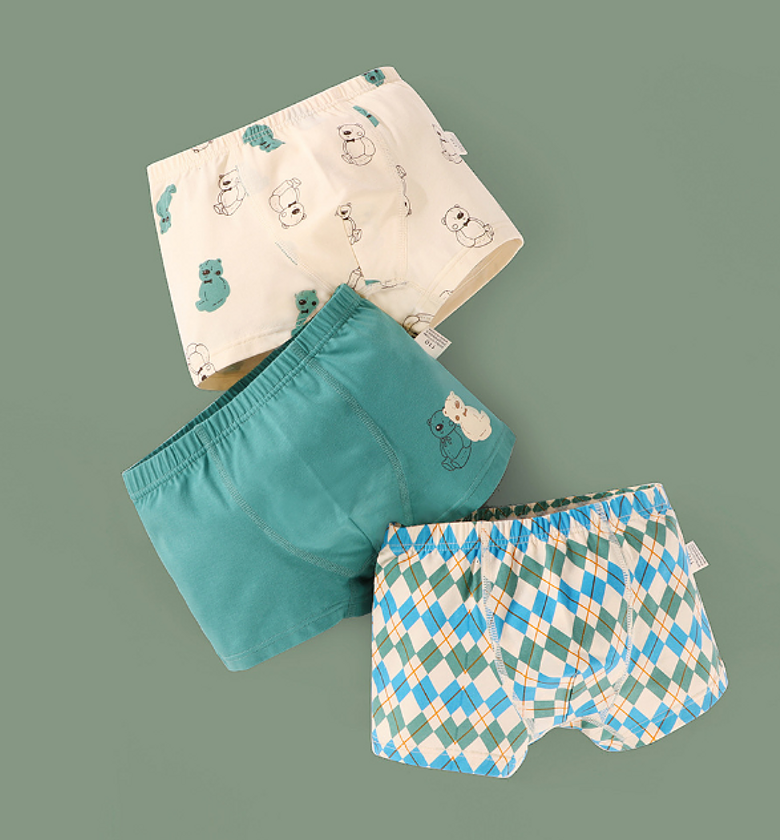 boys boxer bear teal checkered image
