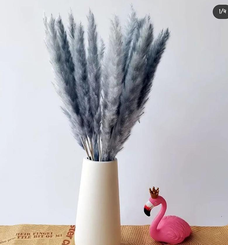 Dried pampas decor flowers. image