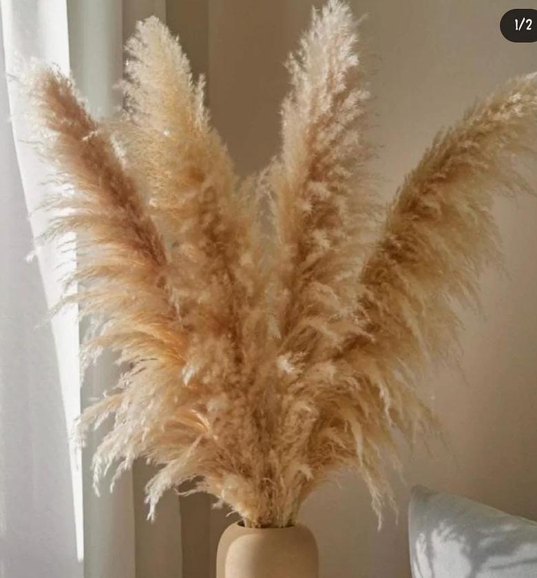 Fluffy Large Pampas Grass Decor image