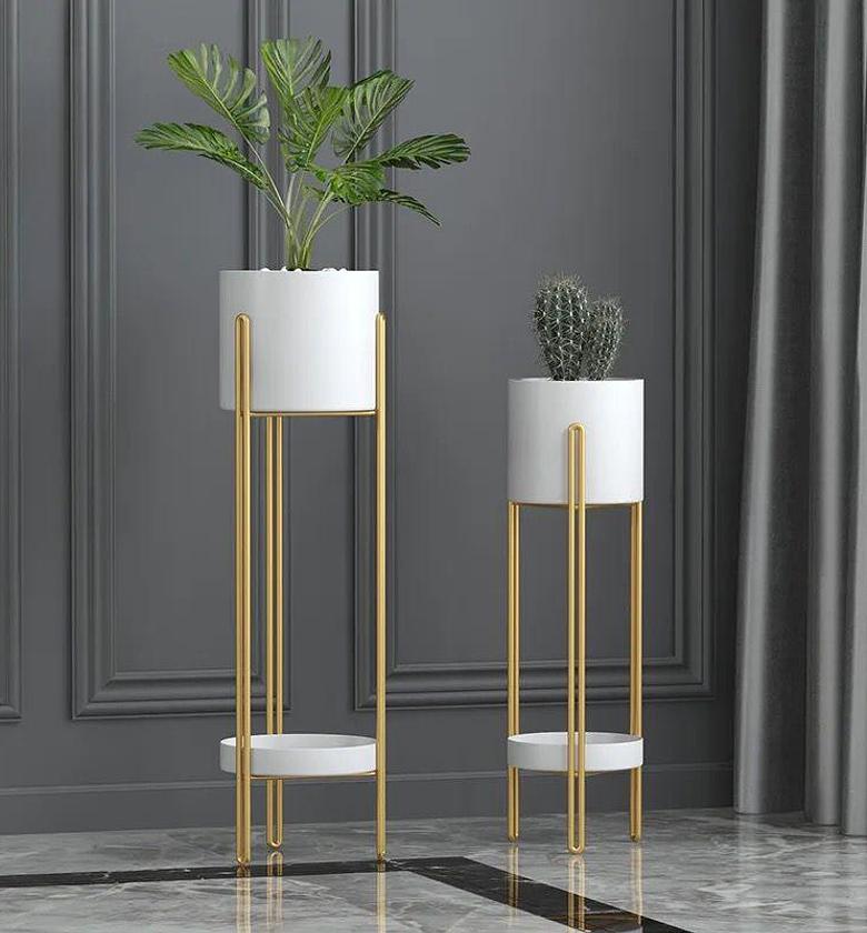 Beautiful  planters  image