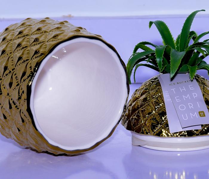 Ceramic Pineapple canister Shape Display Beautifully image