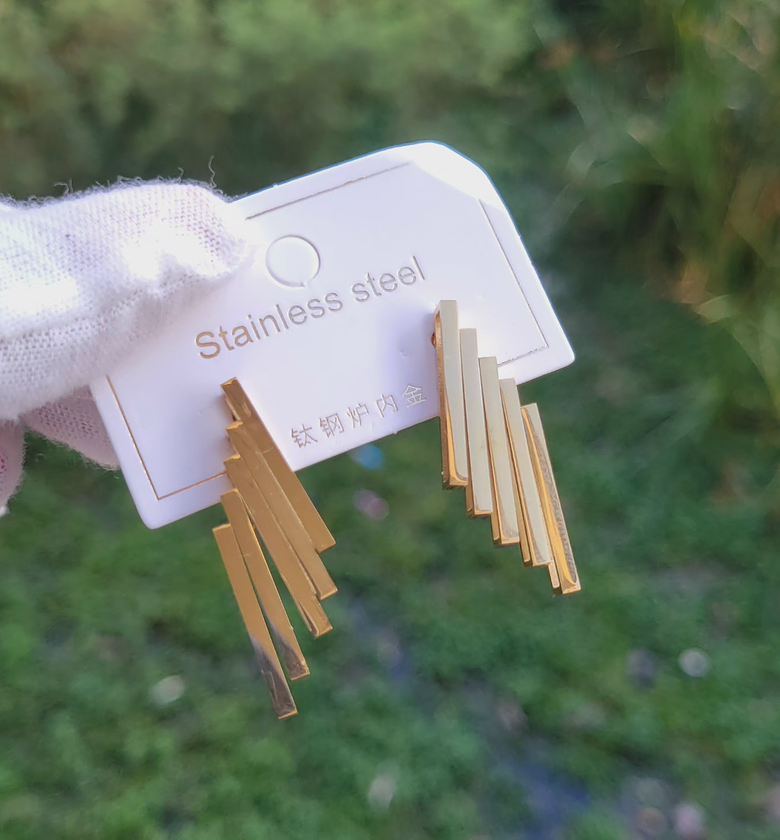 Vavi earrings  image