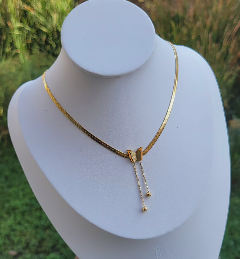 Malkia butterfly  image