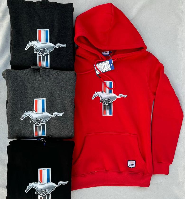 Men heavy cotton hoodies image