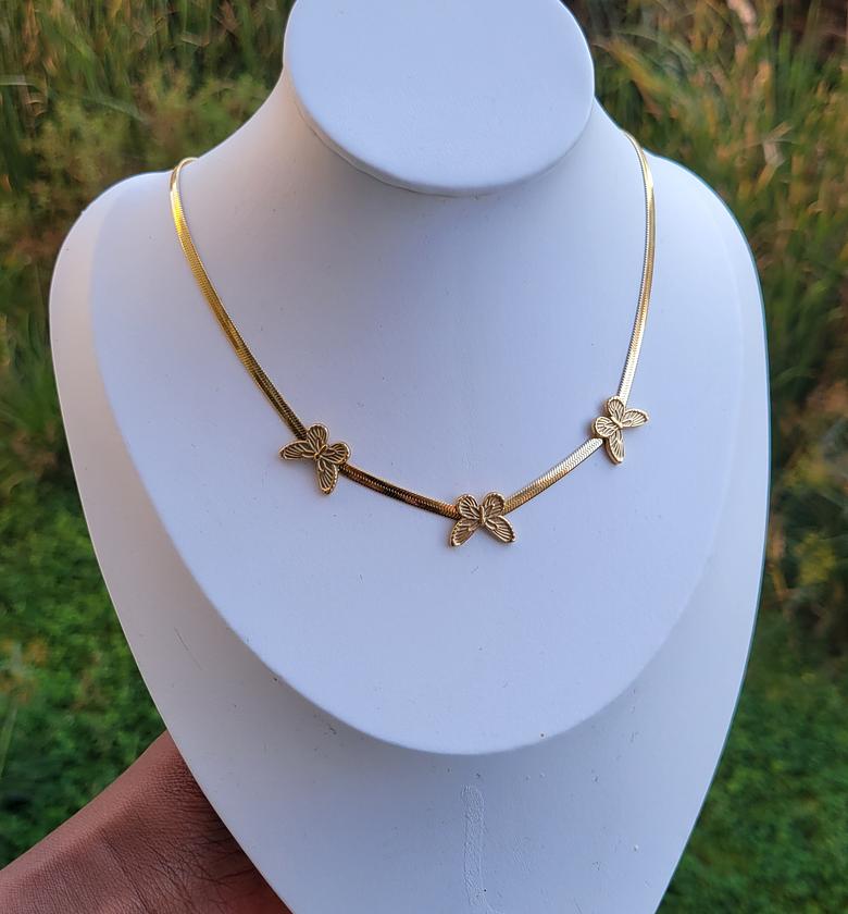 Diaso butterfly  image