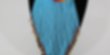 category