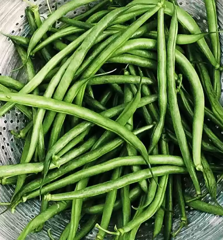 French Beans - 1Kg image