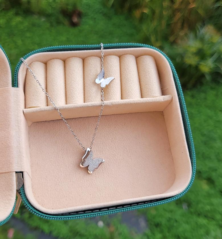 Silver butterfly  image