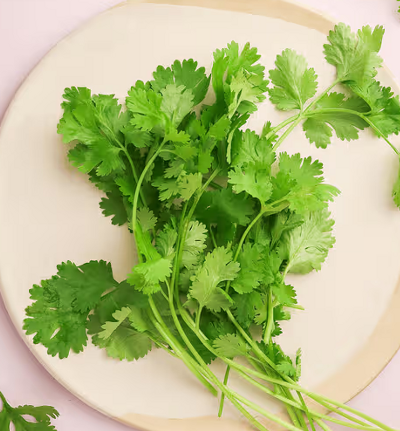 Coriander/Dhania  - Per Bunch image