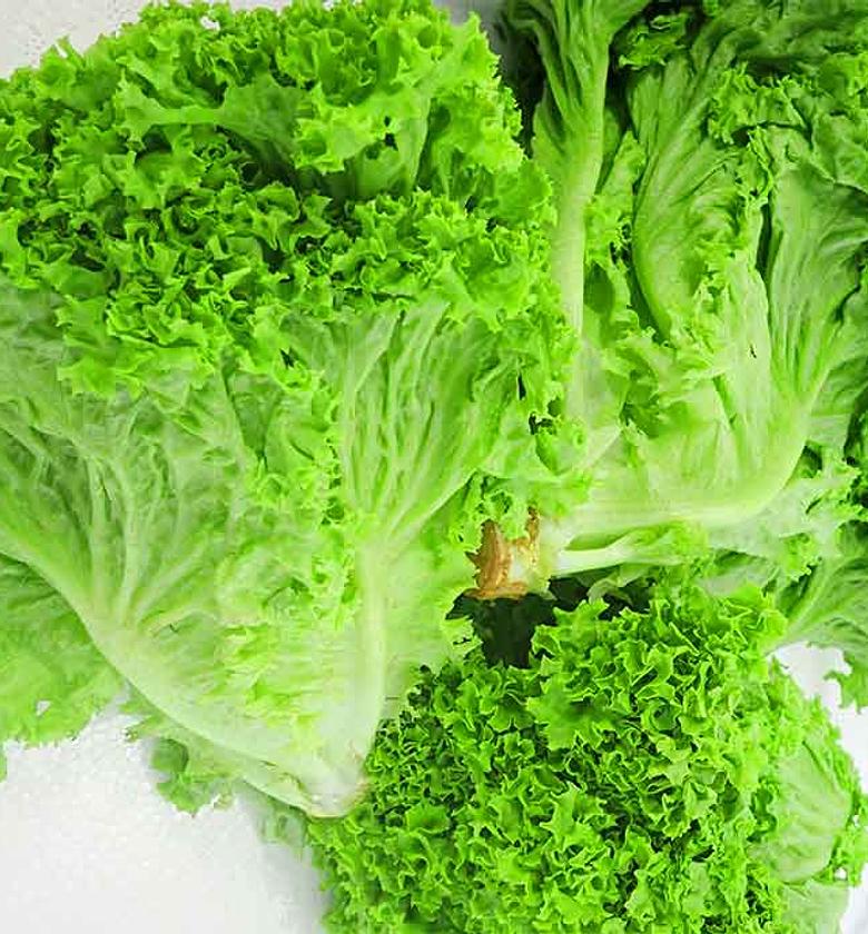 Lettuce - Per kg image