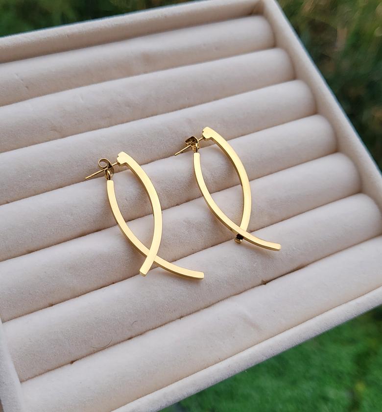 Hoop earrings  image