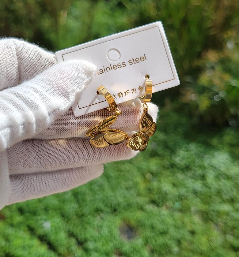 Butterfly hoop image