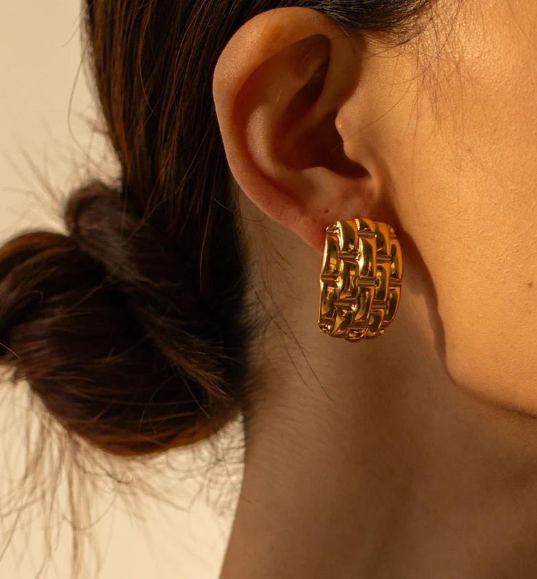 Gold coated Earrings image