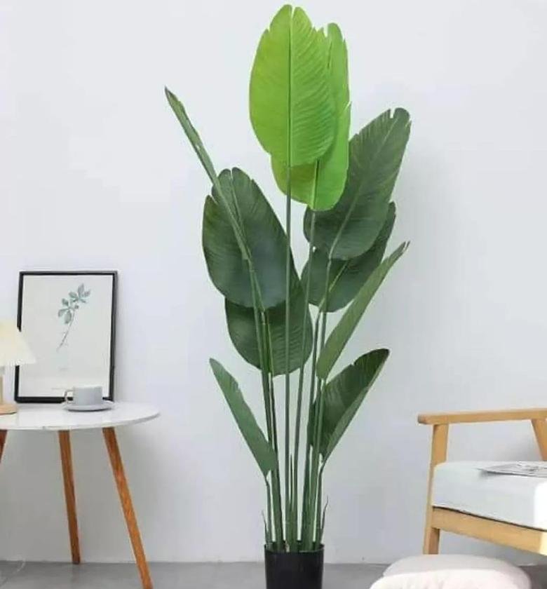 Artificial Banana Tree. ○Green Plant for Living Room. ○Indoor, Home, Garden, Floor, Decorations image