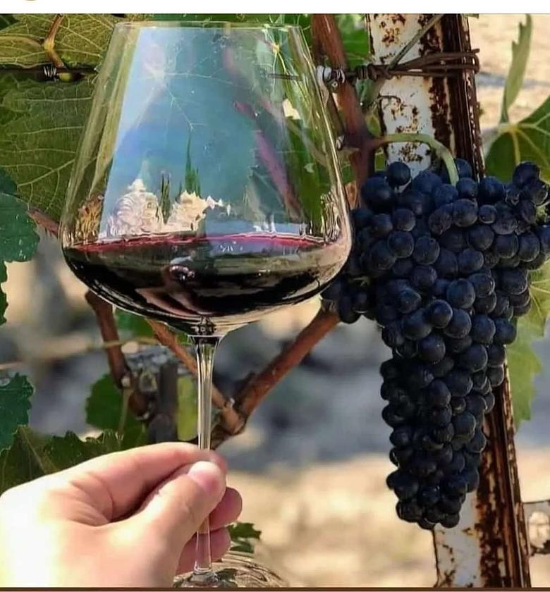 800 ml  6,crystal clear wine glasses image