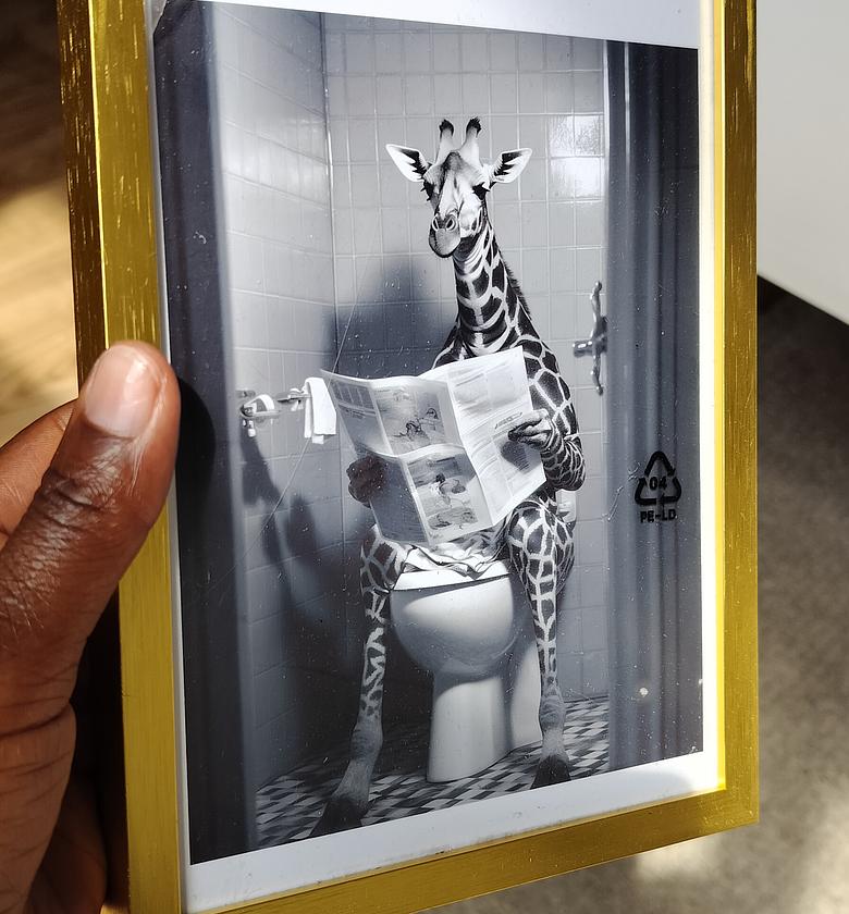 Giraffe reading  image