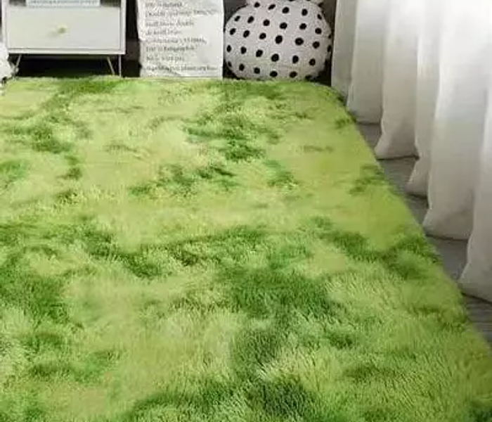  Soft Fluffy Carpets Non-slip Rugs Floor Mat 5 By 8 image