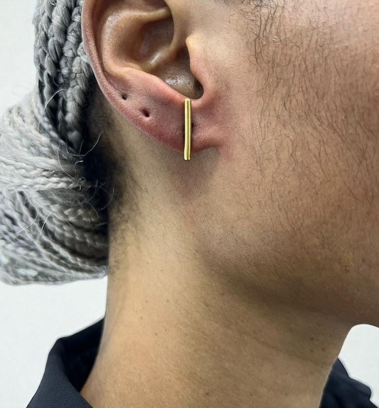 Short Line Earrings image