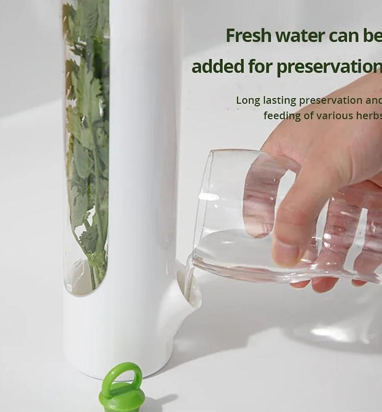 Herb fridge storage container  image