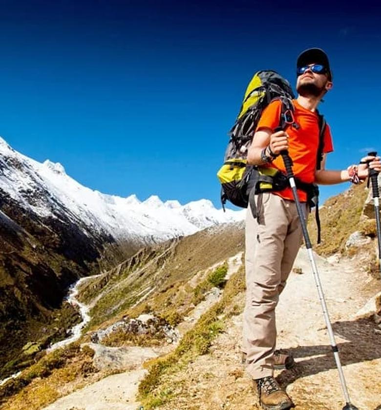 Anti Shock Trekking Pole ,Ultralight Walking Sticks Adjustable Hiking Canes Telescopic Crutch for Nordic walking sticks image