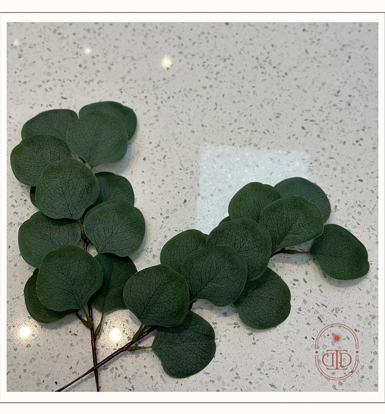 Faux eucalyptus stems image