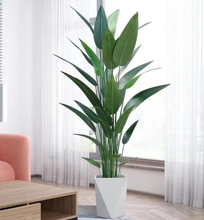 Real touch paradise of birds artificial plant image