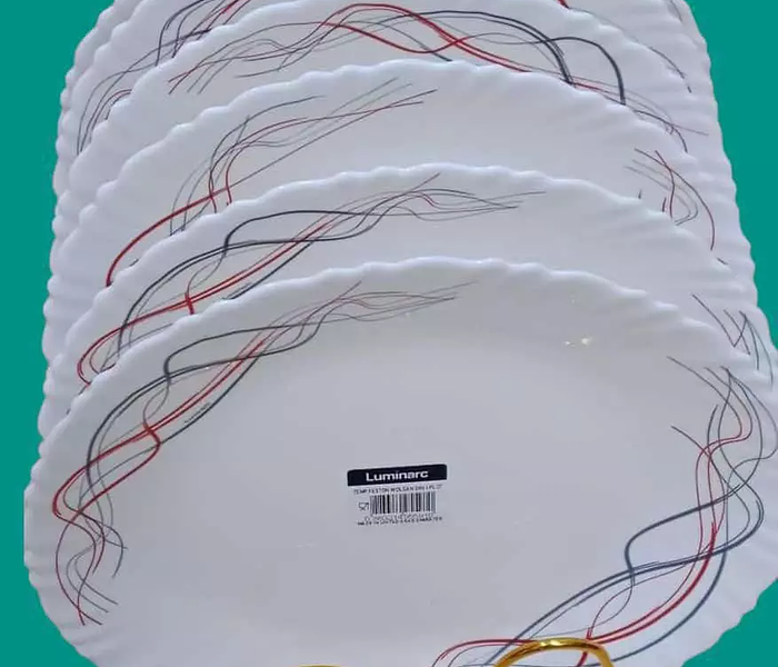 6 Set  Luminarc Dinner Plates image