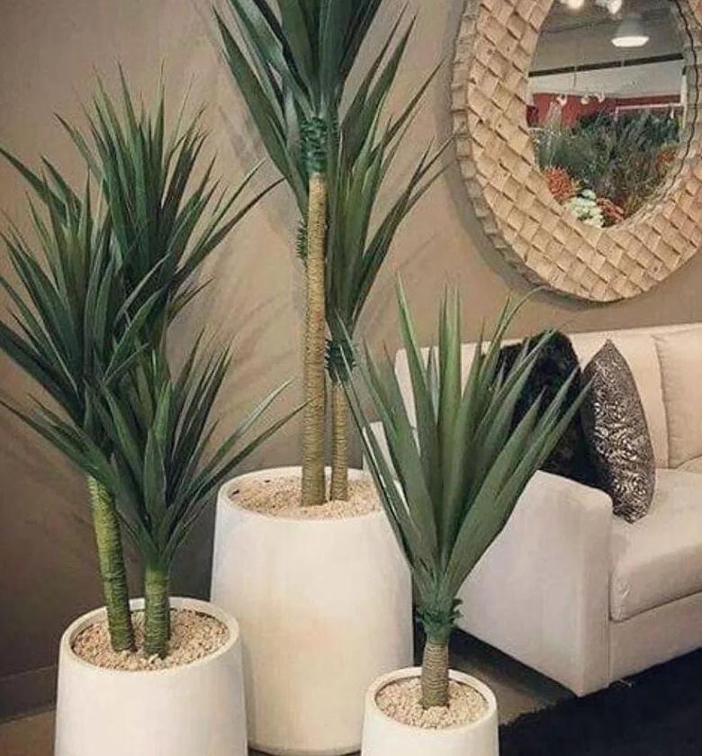 Real Touch Artificial Yucca Plant image