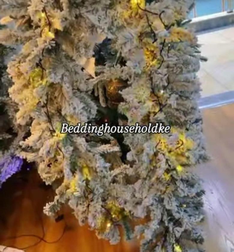 2.5M Christmas Snow Flocked Garland. image