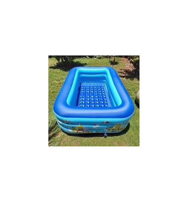3M  Portable Inflatable Swimming Pool for Kids With Free Pump image