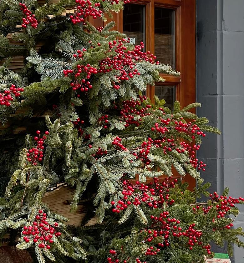 Scarlet Holly Berry Stem Bundle image