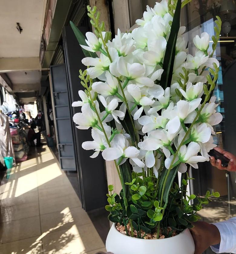 Table Top Big Potted Flowers. image