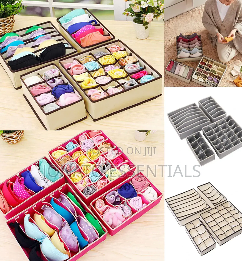 4 in 1 Undergarments Organizer, Bras, Socks, Ties Organizer image